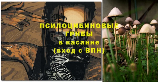 сатива Семилуки