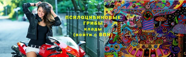 мяу мяу мука Снежногорск