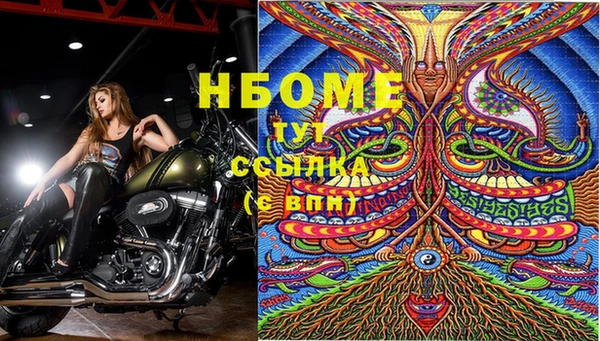 сатива Семилуки
